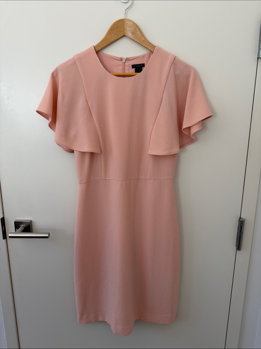 Ann Taylor Blush Pink Ruffle Sleeve Dress